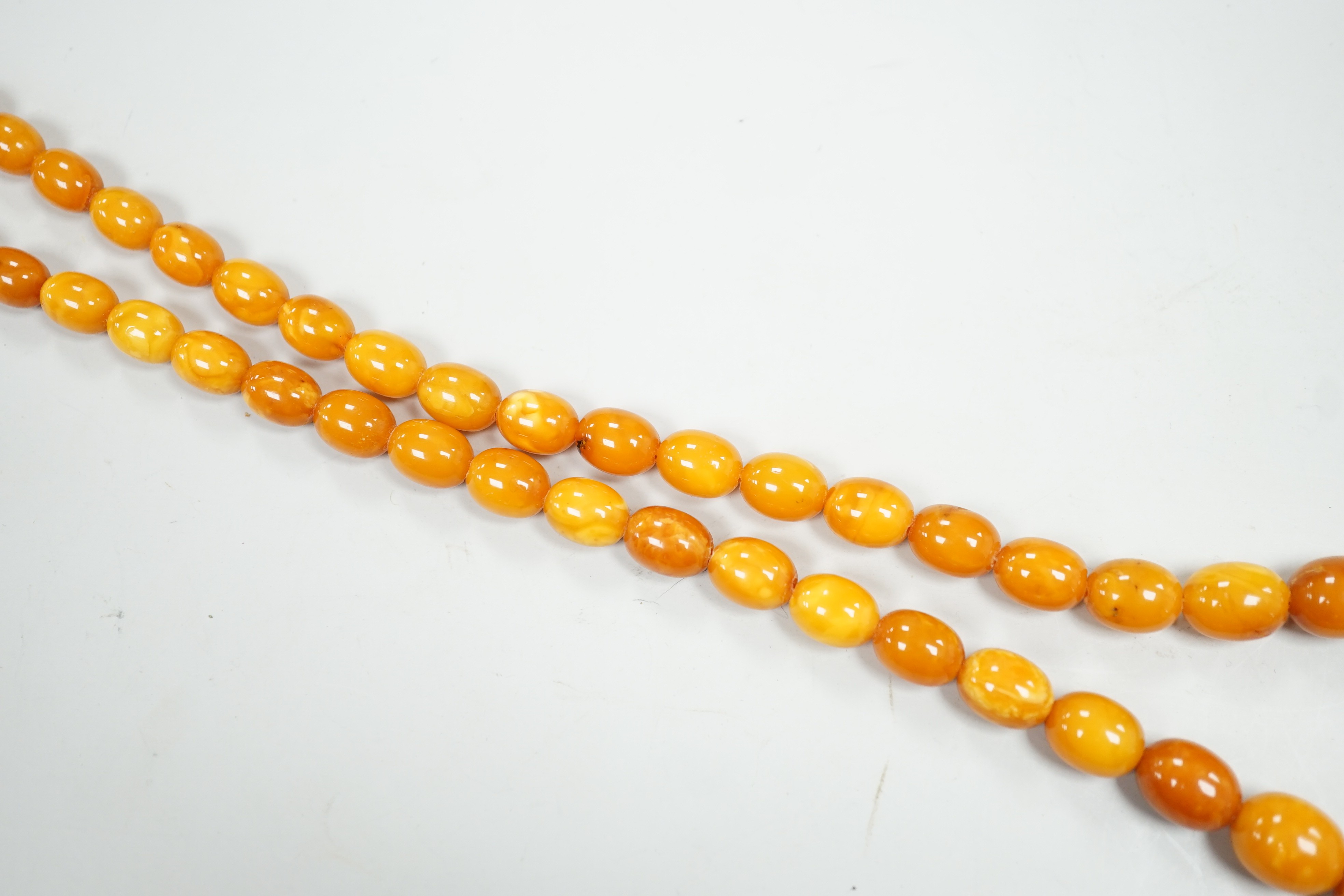 A single strand graduated amber bead necklace, 62cm, gross weight 34 grams.